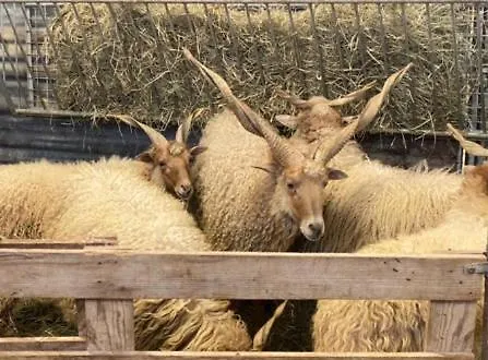 Gite A La Ferme Le Cabro