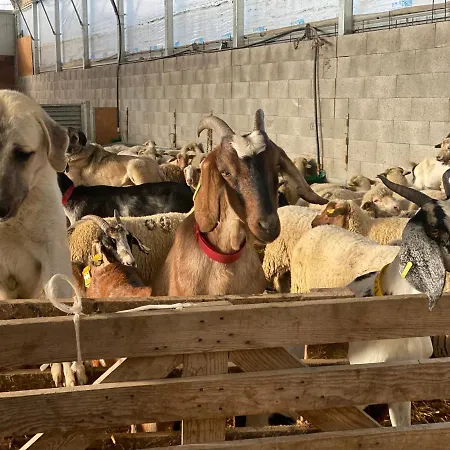 Holiday home Gite A La Ferme Le Cabro