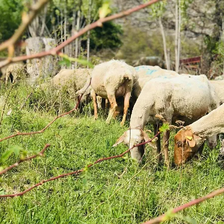 Holiday home Gite A La Ferme Le Cabro